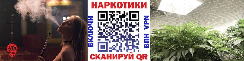 МЕФ Коряжма