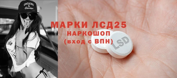 амф Вяземский