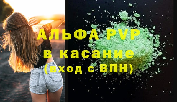 амф Вяземский