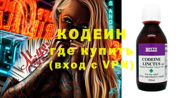 амф Вяземский