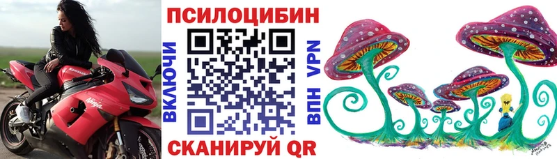 Купить где  Коряжма  Псилоцибиновые грибы мицелий 