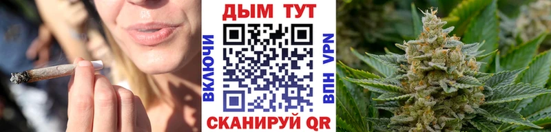 Марихуана план  Купить  Коряжма 
